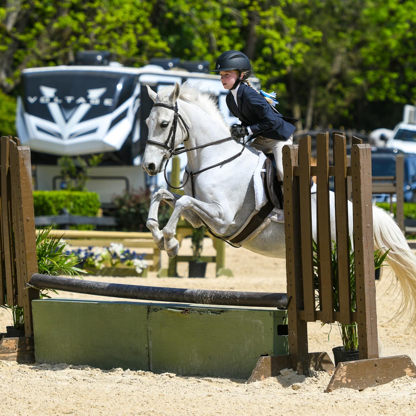 Equestrian training session at Falcon Hill Farm